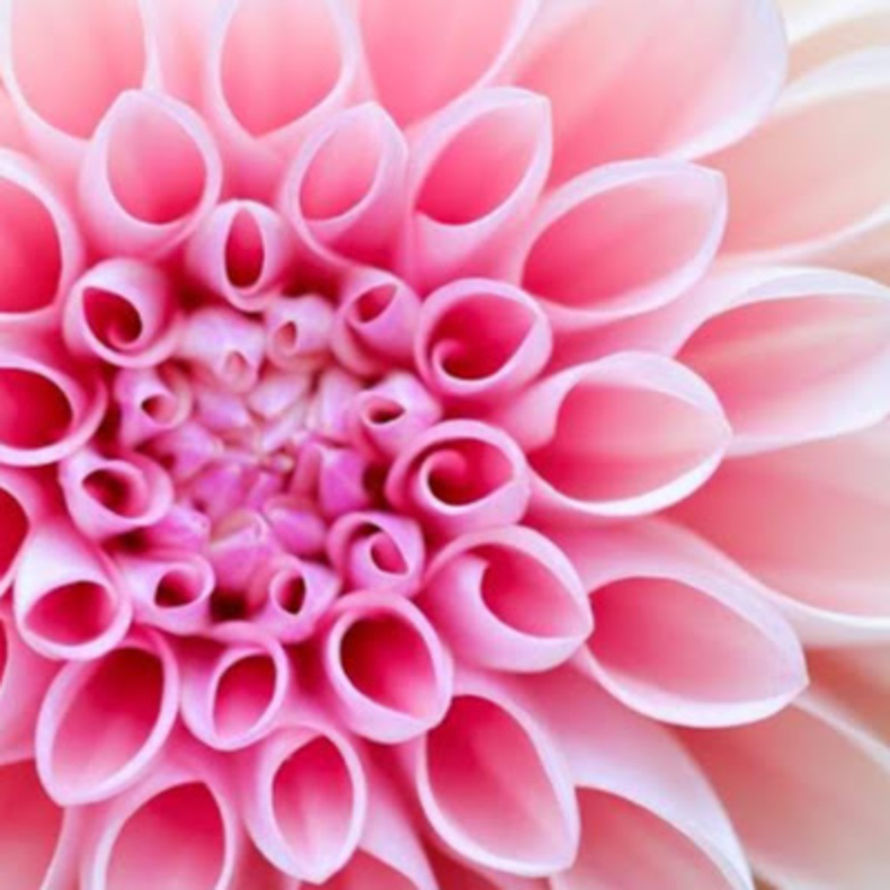 Meet your Posher, Elaina